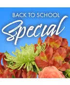BACK TO SCHOOL SPECIAL