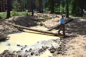 Wetland Restoration and Construction – A Technical Guide (Book by Tom Biebighauser)