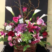 Curly Vine Basket