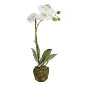 15" Faux Orchid Drop-In