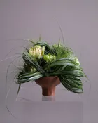 Emerald Ikebana — Sculptural Green Arrangement (Set of 2 minimum)
