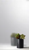 Acid Etch Mirror