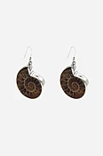 Ammonite Bezel Earrings