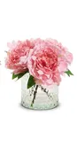 9.5" Peony Bouquet in Glass Vase