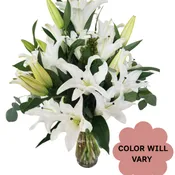 Simply Oriental Lilies
