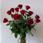Long Stem Roses