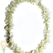 White Dendrobium Orchid Lei, Single