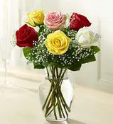 A Love’s Embrace Roses – Assorted