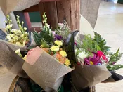 Lupine Seeds - Donate a Bouquet — Larkspur & Rose - Caribou, Maine Florist