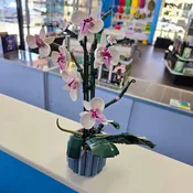 10311 Orchid (Previously Owned)