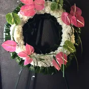 Circle of white mums with pink & green anthurium with Ti leaves surround wreath - F30014