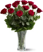 A Dozen Premium Red Roses