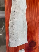 Fishskin Tanning Class