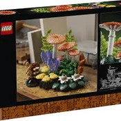 11505 Woodland Mushrooms