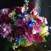 Big basket of lavender Blooms