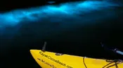Bioluminescence Kayak Tour