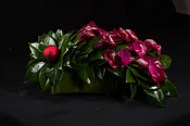 Cascading Callas