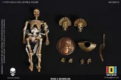 [101-ES013] Skeleton Egyptian Mummy A