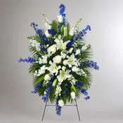Blue Heaven Tribute