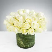 Two Dozen White Roses by BloomNation™