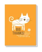 TY001 - cat
