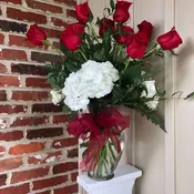 Classic Dozen With White Hydrangea