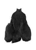 4 B Hen Cape