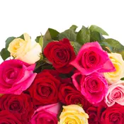 24 Wrapped Mixed Roses