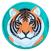 2024 Patch: Tiger