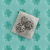 Finishing Touches Mold - Succulent - Echeveria 1