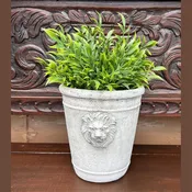 Cement Lion Head Planter - Large