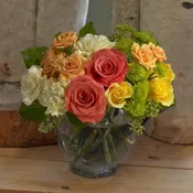 CITRUS BLAST