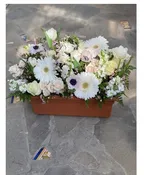 WHITE LACE PLANTER