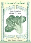 Baby Pak Choi - Green Fortune