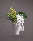 Grand Botanist — White Orchid & Cymbidium Interior Piece
