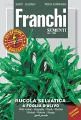 Arugula Olive Leaf Franchi (DBOS 115-4)