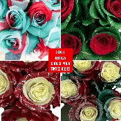 100 Mix and Match Holiday Tinted Roses - Christmas Wholesale