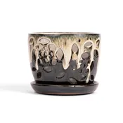 5" Honey Cream Over Coffee Floral Cutout Orchid Pot