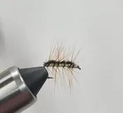 Cracklebacks (Original and New Age)