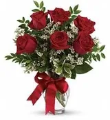 1/2 DOZEN ROSES