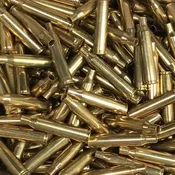 220 Swift Brass (20ct)