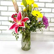 Blissful Blooms
