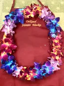 Tinted Rainbow Leis — Oakland Flower Market