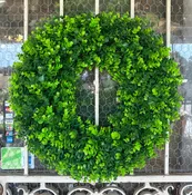 24" UV Boxwood Wreath