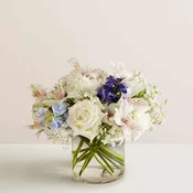 Loving Sentiments Blue & White