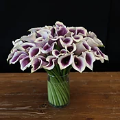 picasso mini callas — MICHAEL GEORGE