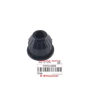 11012-3005 CAP