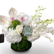 Day & light By Newport Florist NF297