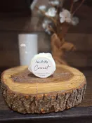 Coconut Conditioner Bar