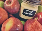 Apple Harvest
